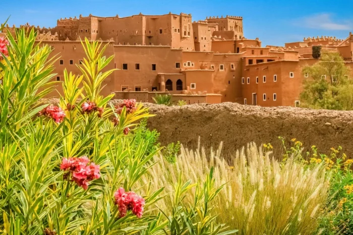 4-Day Marrakech to Fes Sahara Desert Tour